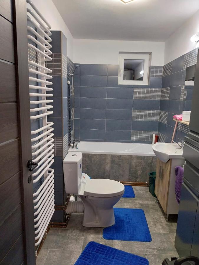 Villa Casa Balan Câmpulung Moldovenesc Exterior foto